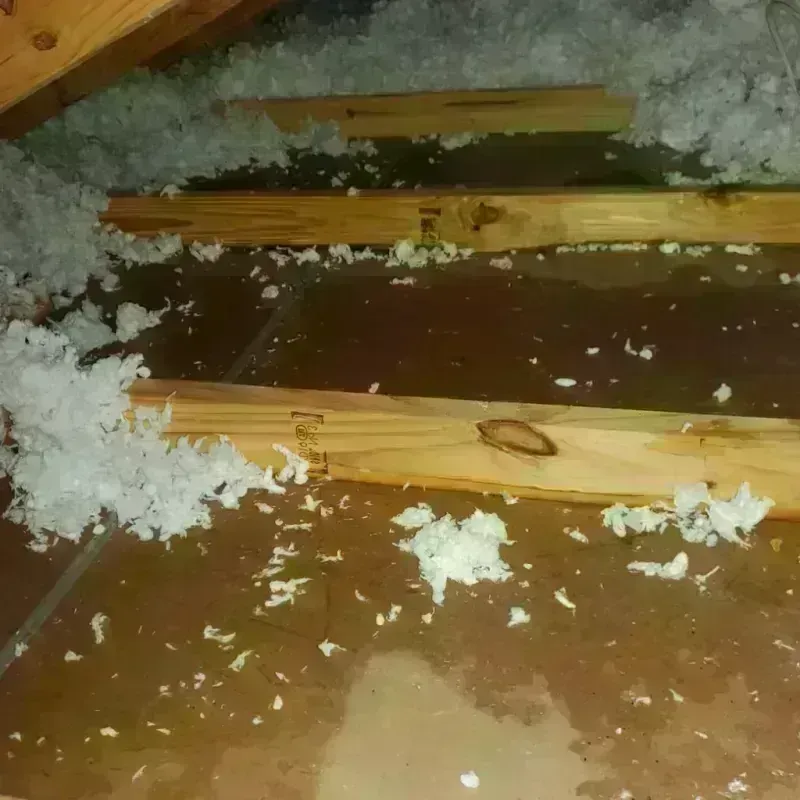 Attic Water Damage in Grantham, NH